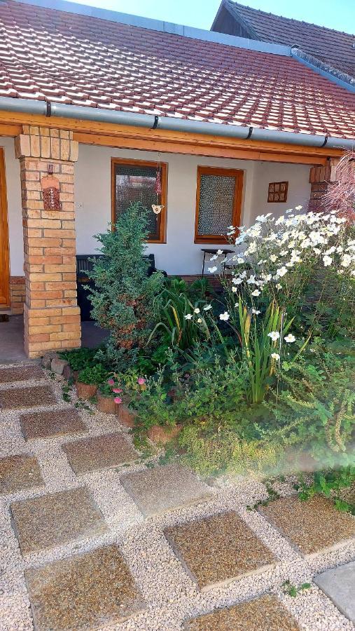 Mandula Apartman Szeged Exterior photo